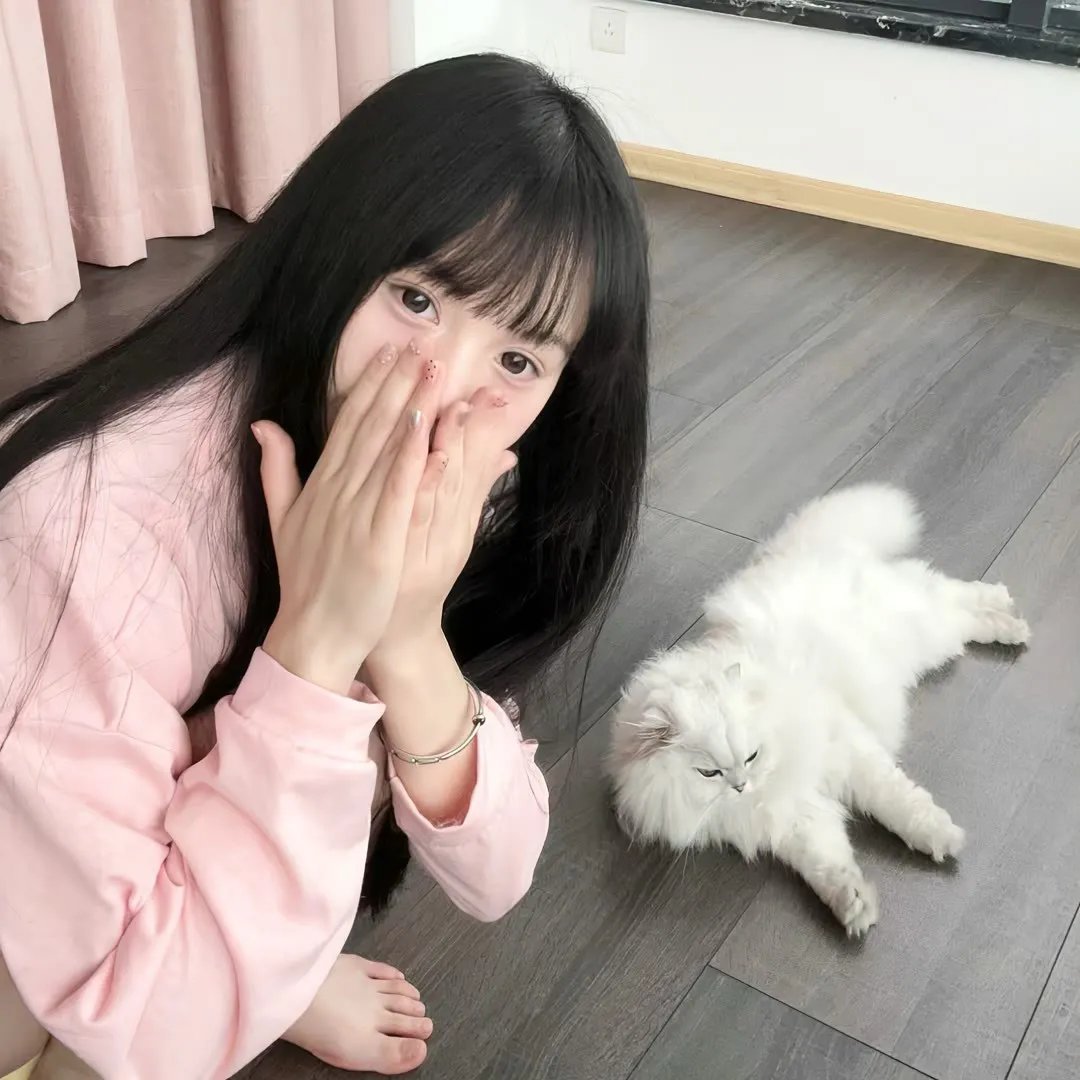 地中海发烧友